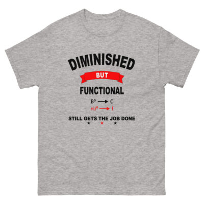 Diminished But Functional - Music Theory T-Shirt